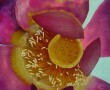 flower Kunstwerk flower