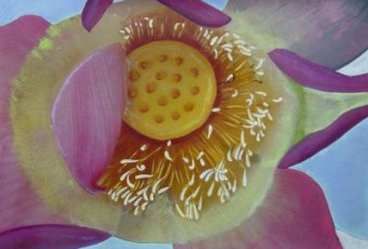 flower2 flower2