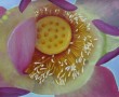 flower2 Kunstwerk flower2