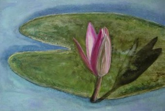 waterflower waterflower