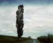eenzame boom Kunstwerk eenzame boom