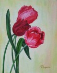 bloemen-realistisch: 3 Tulpen  bloemen-realistisch: 3 Tulpen