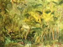 landschap 2 landschap 2