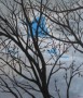 Stukje blauw Kunstwerk Stukje blauw