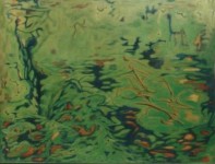 Groen landschap Groen landschap