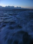 sea1 sea1