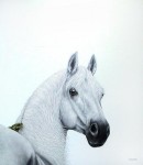 PRINS OP HET WITTE PAARD PRINS OP HET WITTE PAARD
