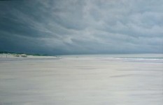 (90) strand van Zeeland met 2 paarden  (90) strand van Zeeland met 2 paarden