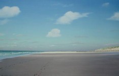 (14) strand van Zeeland met paaltjes  (14) strand van Zeeland met paaltjes