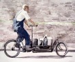 bakfietser Kunstwerk bakfietser