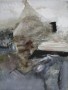 Grey composition Kunstwerk Grey composition