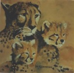 cheetah 2 cheetah 2