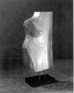 TORSO  TORSO