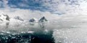 landschap landschap