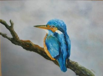 IJsvogeltje IJsvogeltje