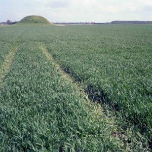 Zeeland Zeeland