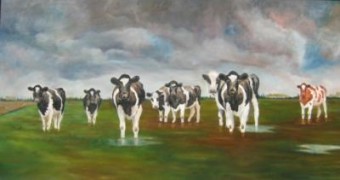 koeien in de Hoeksche Waard koeien in de Hoeksche Waard