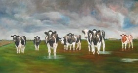 koeien in de Hoeksche Waard koeien in de Hoeksche Waard