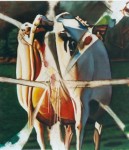 Koe (Cow) Koe (Cow)