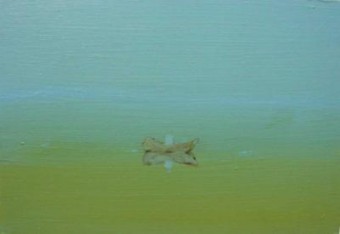 warme ochtend op het meer warme ochtend op het meer