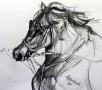 Paard2 Kunstwerk Paard2