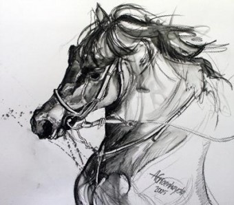 Paard2 Paard2
