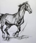 Paard 5 Paard 5