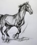 Paard 5 Kunstwerk Paard 5