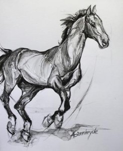 Paard 5 Paard 5