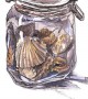 pot met fossielen Kunstwerk pot met fossielen