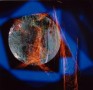 licht geschreven in de nacht . Kunstwerk licht geschreven in de nacht .