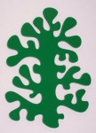 zuurstof zuurstof