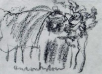 ~ Boerderij Drente ~ ~ Boerderij Drente ~