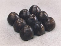 Appelschaal Appelschaal
