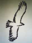 Bird of prey Bird of prey