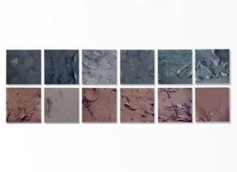 Composition Of The Decline  Composition Of The Decline