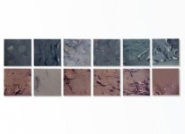 Composition Of The Decline  Composition Of The Decline