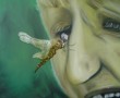 nature Kunstwerk nature