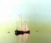 Pink sails Kunstwerk Pink sails
