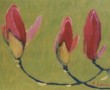 magnolia Kunstwerk magnolia