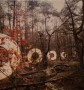 cirkels in het bos  Kunstwerk cirkels in het bos