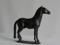 paardje paardje