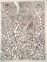Naturalia 5 Kunstwerk Naturalia 5
