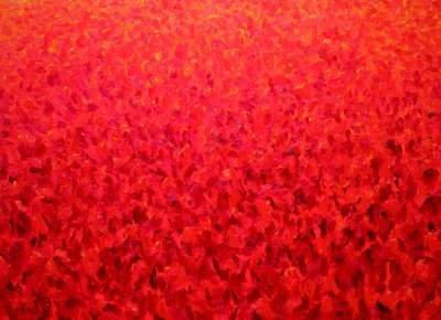 groot rood tulpenveld