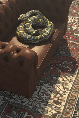 Still life with python Still life with python