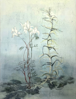 de Onaanzienlijkenn IV