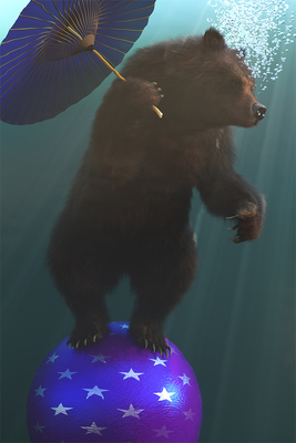 My life in the circus