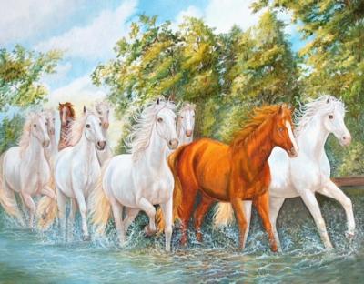 Kudde paarden in het water