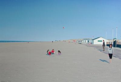 strand van Hoek van Holland